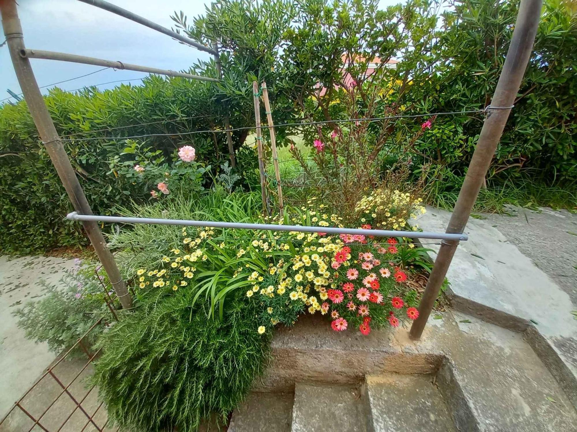 Apartments In Rab - Insel Rab 39950 Mundanije Dış mekan fotoğraf